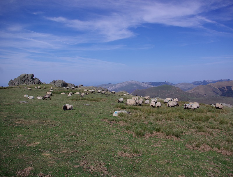 Le Pays Basque livre ses identités multiples constituées d’architecture typique, de sports insolites, de paysages verdoyants et d’excellente gastronomie campagnarde - DR : J.-F.R.