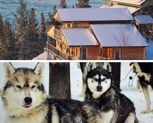 Toundra a développé des autotours packagés qui comprend 3 expériences d'hébergement (auberge intime en bois rond, auberge champêtre éco-nature, ou chalet privé en bois rond) pour l’hiver et l’été 2019 - DR Toundra a développé des autotours packagés qui comprend 3 expériences d'hébergement (auberge intime en bois rond, auberge champêtre éco-nature, ou chalet privé en bois rond) pour l’hiver et l’été 2019 - DR