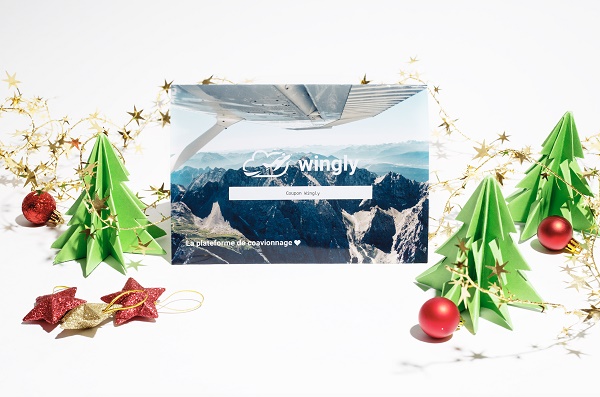 Wingly, le blablacar de l'aérien lance sa carte cadeau - Crédit photo : Wingly