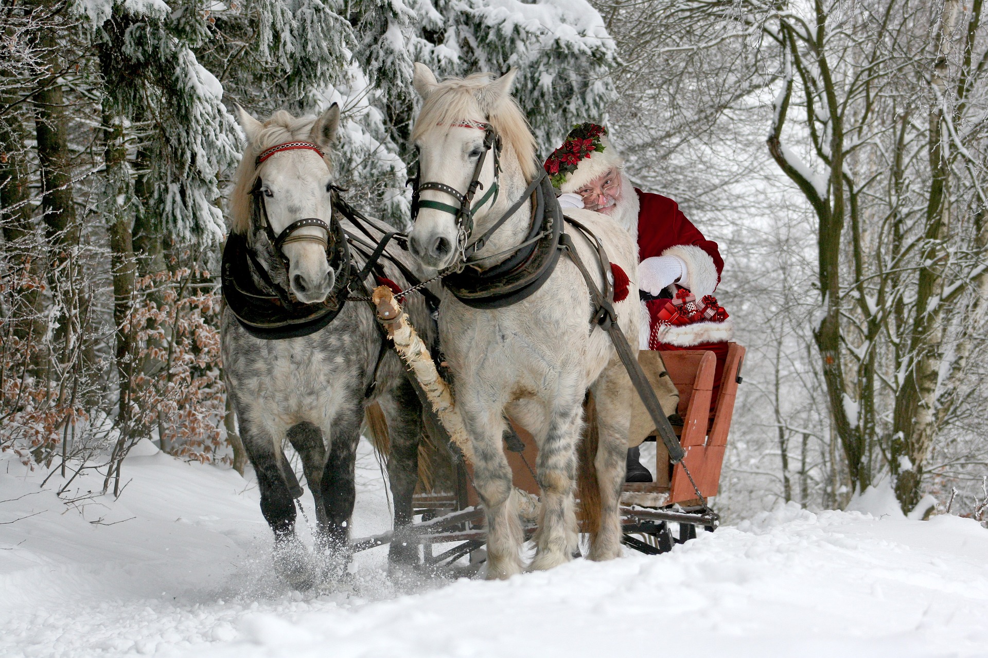 Le Père Noël cherche des assistants pour la saison 2018 2019, en Laponie. Avis aux candidats ! - Pixabay