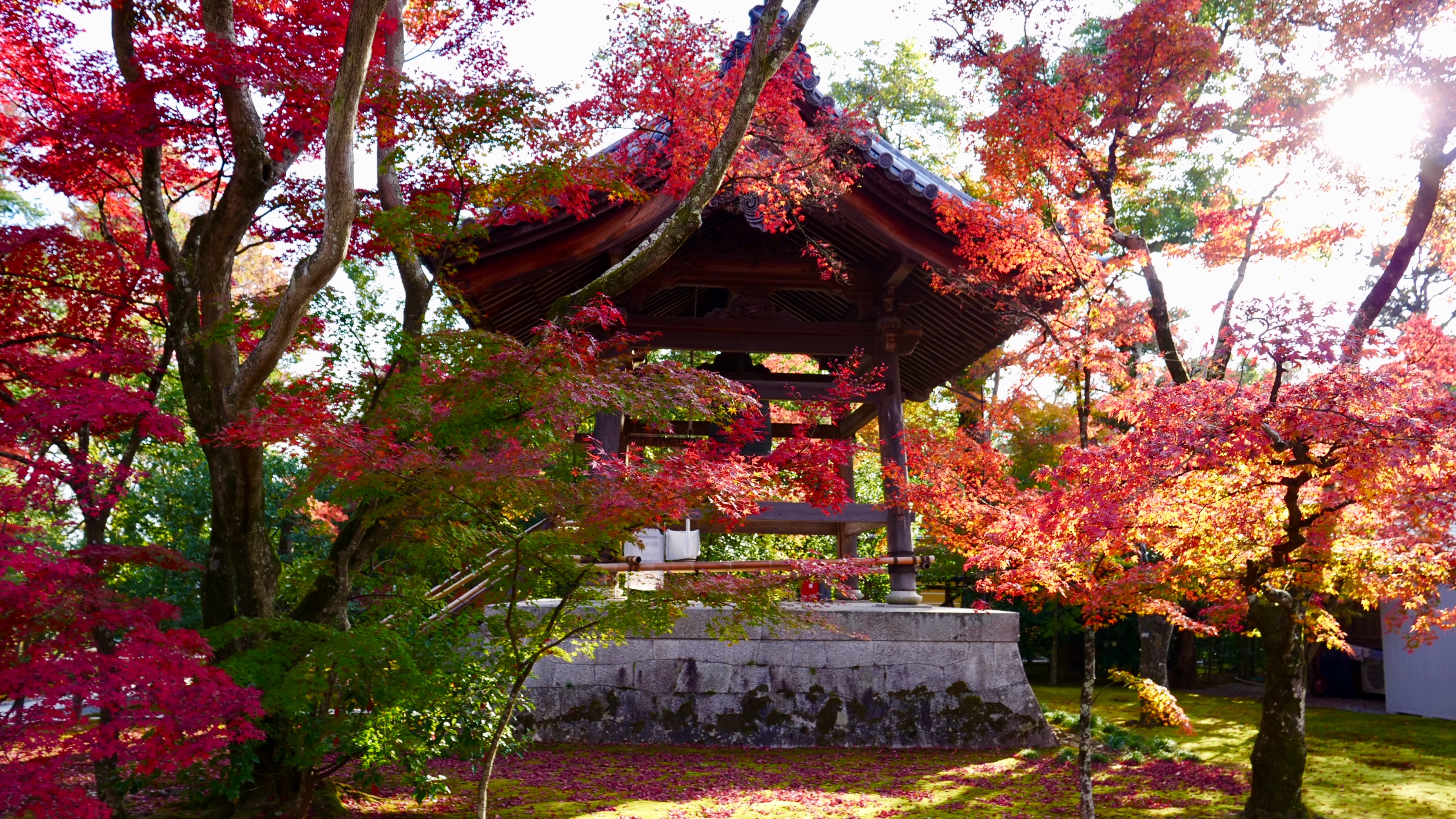 Les couleurs automnales du Japon © Laurie Medina