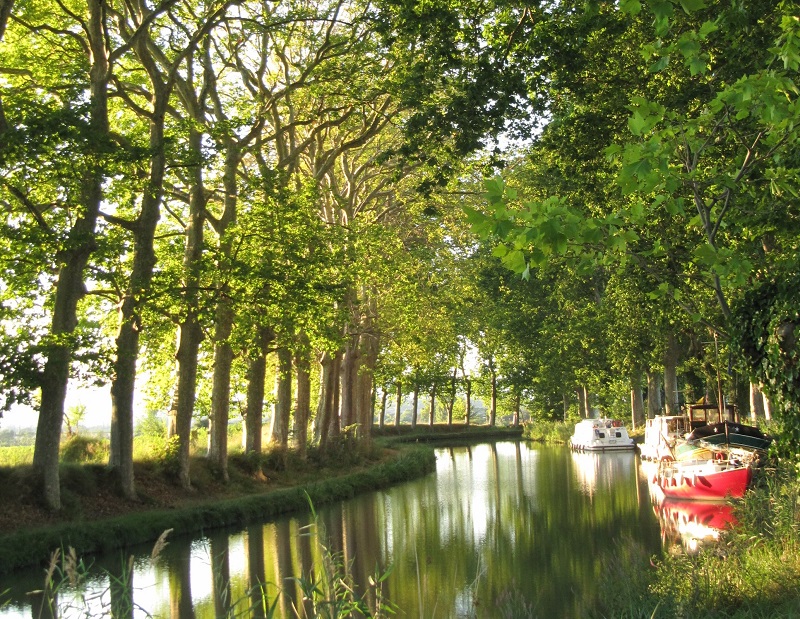 Le Canal du Midi attire chaque année une clientèle internationale (70%), avec près de 10 000 passages de bateaux et 1 million de personnes - DR : Creative Commons