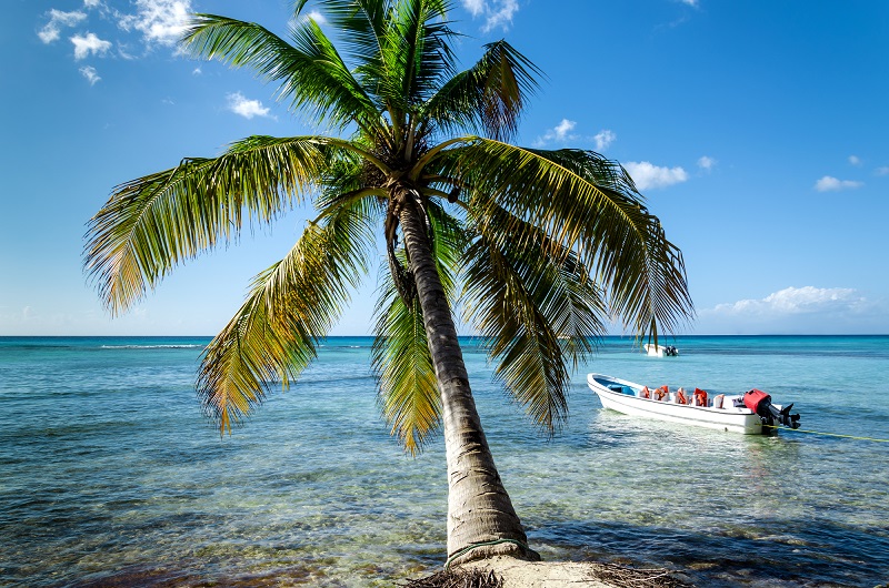85 000 touristes ont visité la Martinique avec Airbnb en 2018 - Depositphotos ankamonika