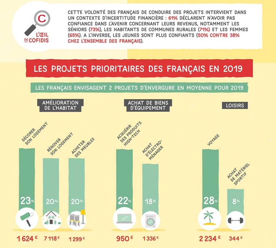L'infographie de Cofidis sur les projets des Français en 2019 - Crédit photo : Cofidis