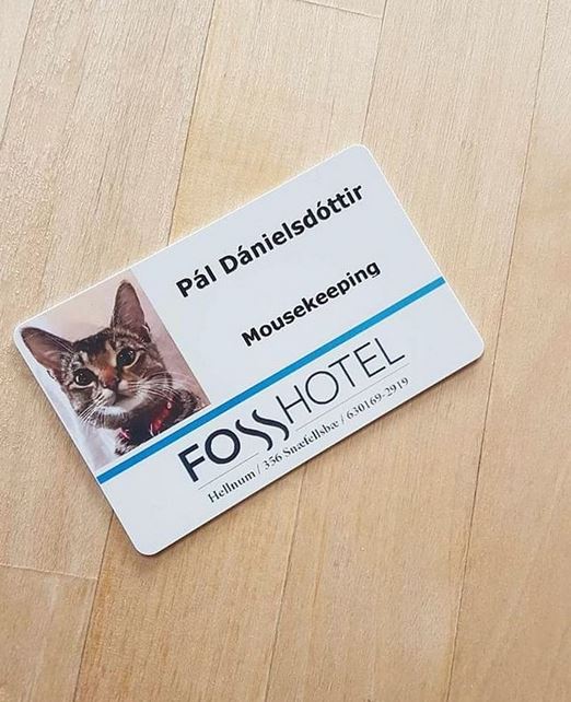 Pál dispose même de sa carte d’employée - DR : FossHotel
