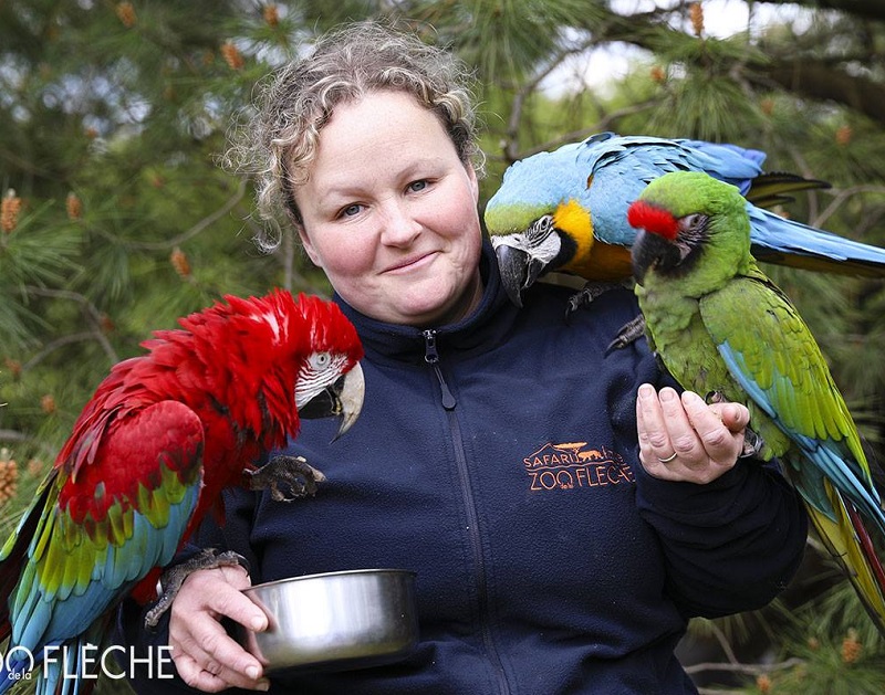 70 postes sont à pourvoir au Zoo de la Flèche pour la saison 2019 - DR : Zoo de la Flèche