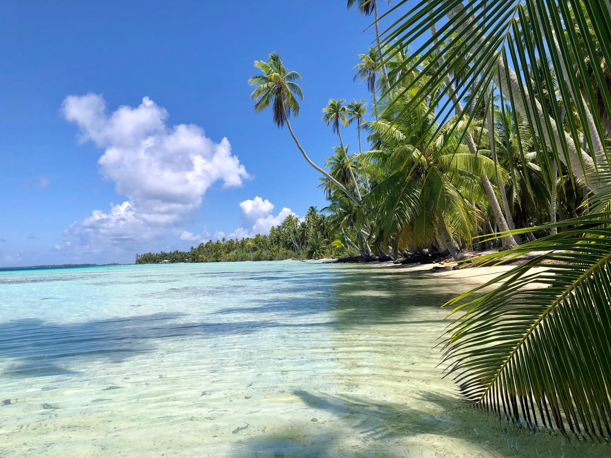 La cote de Tahiti et ses îles ne faiblit pas /crédit photo JDL