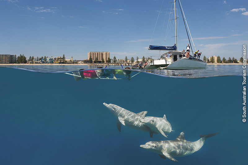 Site de rencontre poisson Australie