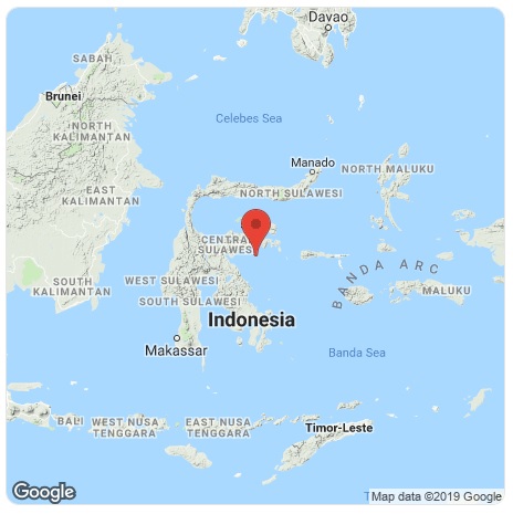 Une alerte au tsunami a été émise puis levée.  - DR Une alerte au tsunami a été émise puis levée.  - DR