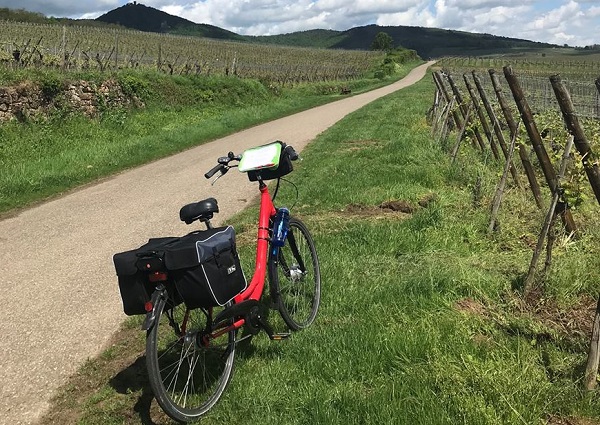 Parole de TO étranger "à Oslo, il n'y a plus d'agence de voyages physique" - Crédi photo : Merlot Reiser