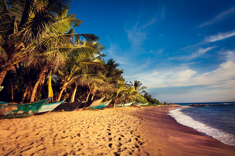 Les attentats de Pâques devraient entrainer une baisse de la fréquentation touristique au Sri Lanka de l’ordre de 30% . - Depositphotos