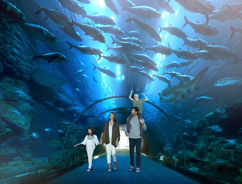 Le tunnel des requins à Dubaï - DR Emirates Le tunnel des requins à Dubaï - DR Emirates