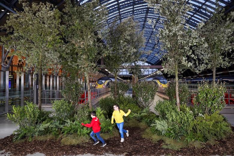 Emission carbone : Eurostar va planter un arbre pour chaque train en service