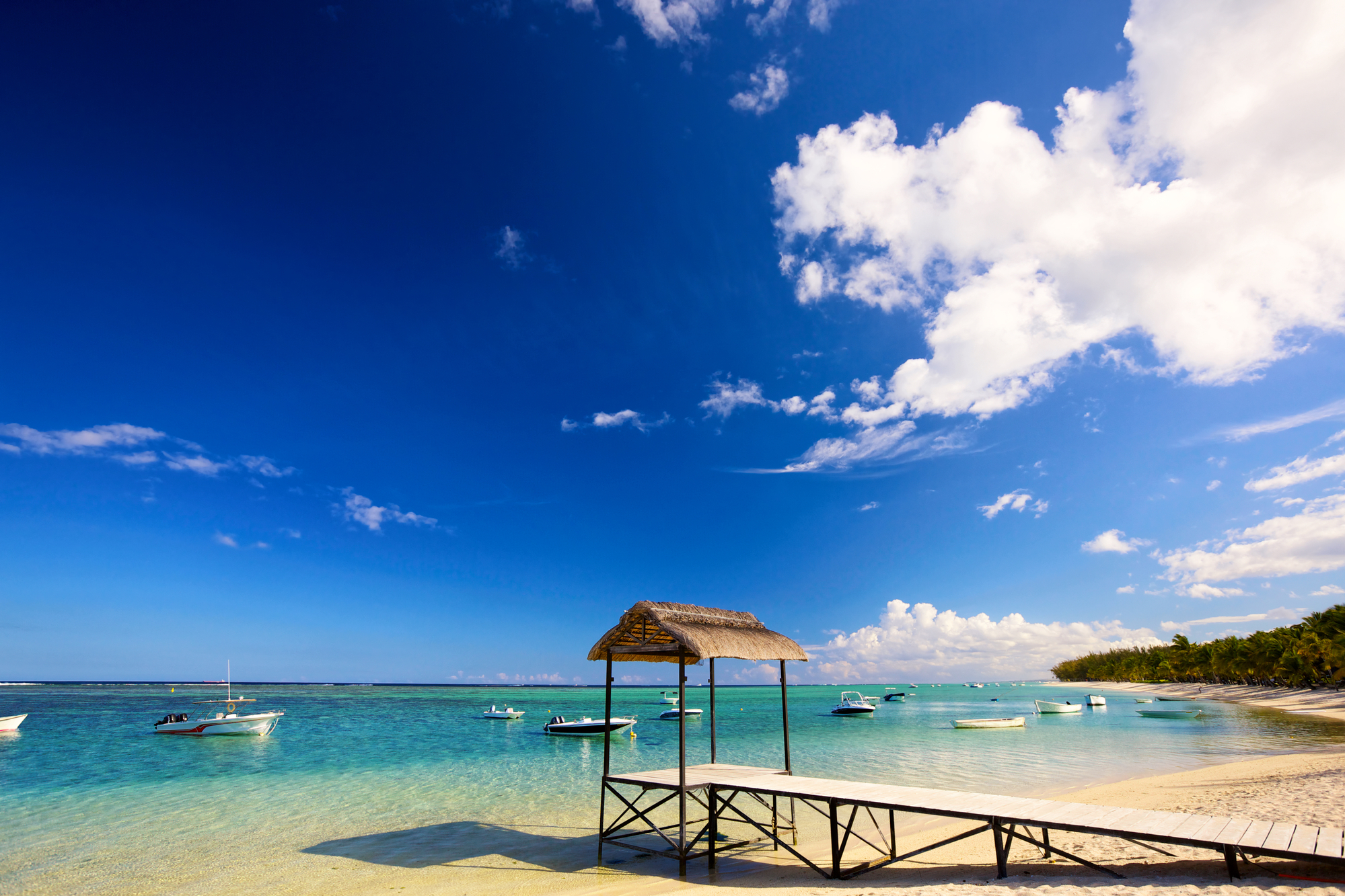 l’Ile Maurice sera cette année la destination invitée lors de la 3e édition des Palmes du Tourisme durable /crédit DepositPhoto