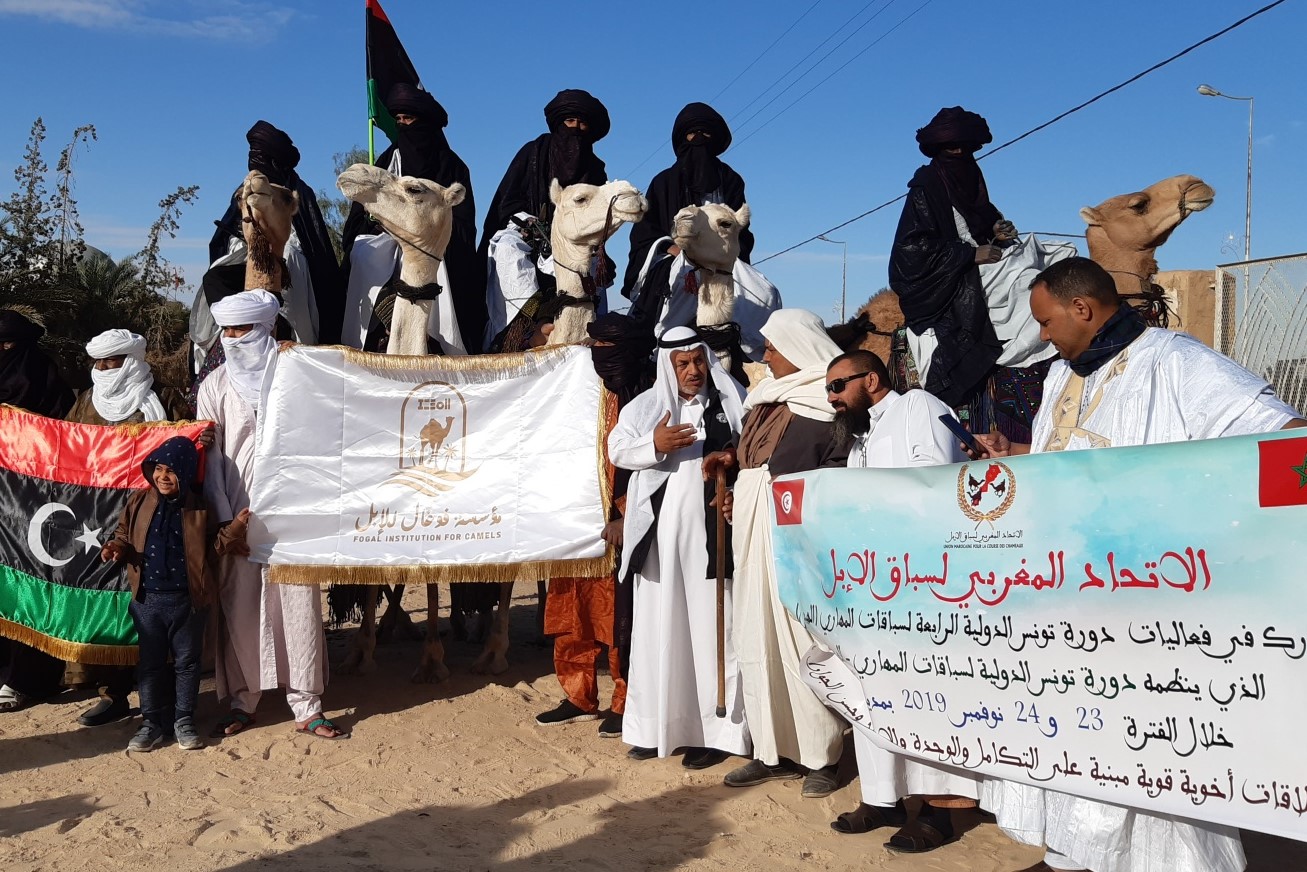 4e Session Internationale de Tunisie des Courses de Dromadaires. Avant la compétition, les Touaregs présentent leurs montures. Ils viennent de Libye, du Sud algérien et du Sud tunisien - DR : M.S.