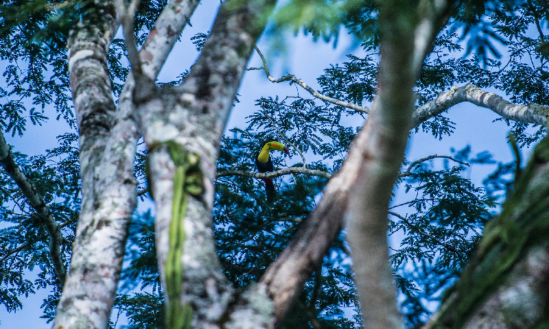 Plastiques à usage unique : la législation est entrée en vigueur le 15 janvier 2020 - DR Belize