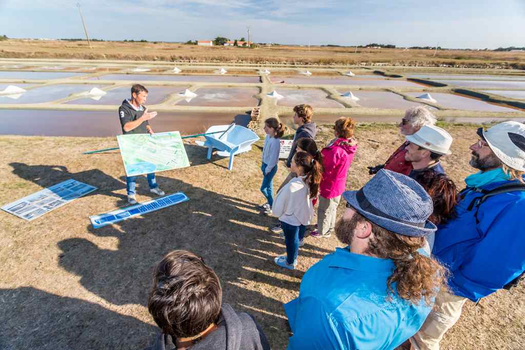 Visite marais salant ® Stephane-GROSSIN