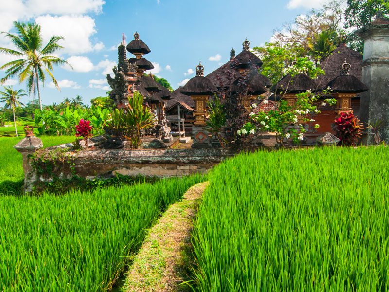 Bali, balade à travers les rizières - DR : @Graphic Obsession