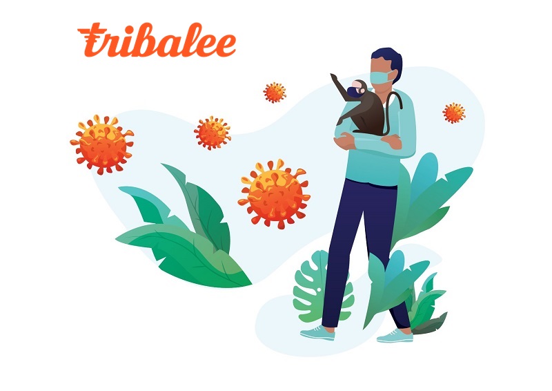 Tribalee a revu sa formule pour permettre aux salariés confinés de participer aux animations - Crédit photo : Tribalee