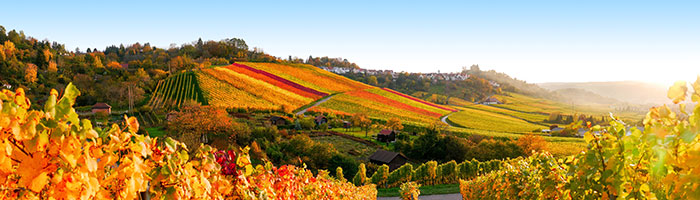 Image utilisée sous licence de Shutterstock.com / Provence