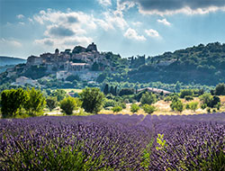 Image utilisée sous licence de Shutterstock.com Image utilisée sous licence de Shutterstock.com