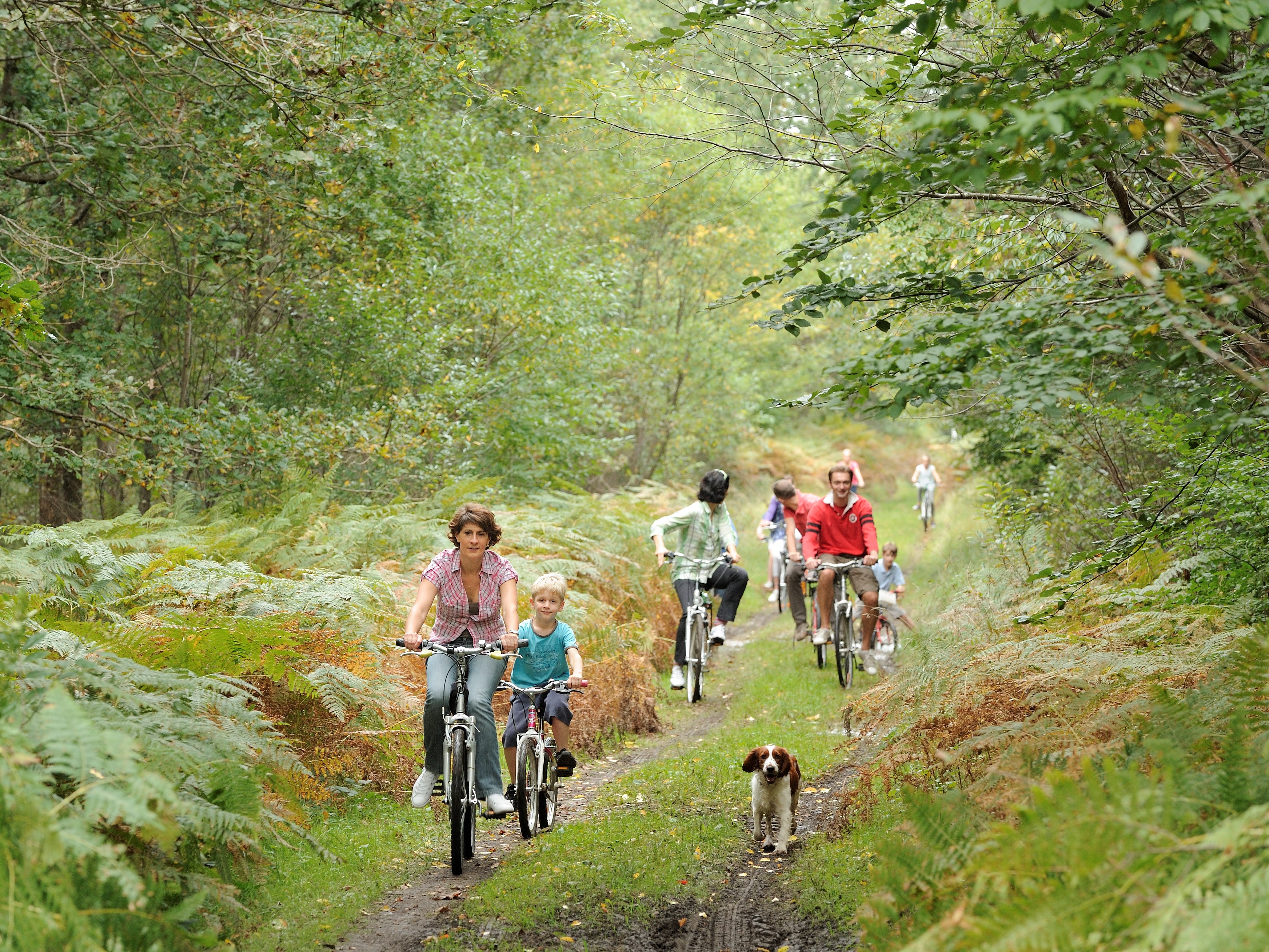 Balade à vélo dans la forêt domaniale de Compiègne, 15 000 hectares, l’une des plus belles de France, la troisième par sa taille après Orléans et Fontainebleau - Photo : Oise Tourisme