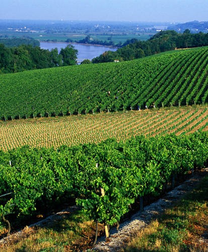 Vignobles de Bordeaux. Ici, Premières Côte de Bordeaux. Brochard CRTNA;