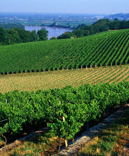 Vignobles de Bordeaux. Ici, Premières Côte de Bordeaux. Brochard CRTNA;