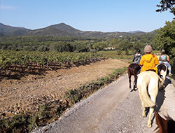 Copyright @Beyond The Wine – Far West Tour