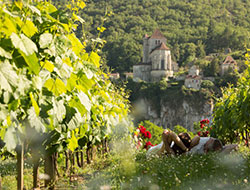 DR Hôtel le St Cirq / Vignes – ST CIRQ LAPOPIE DR Hôtel le St Cirq / Vignes – ST CIRQ LAPOPIE