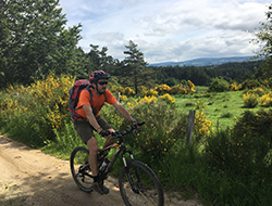 DR Languedoc Nature - VTT en Margeride