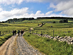 DR Les Clés de l’Aubrac / Randonnée accompagnée