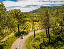 DR  Hervé Leclair / Rouler dans les vignobles du Pic Saint Loup