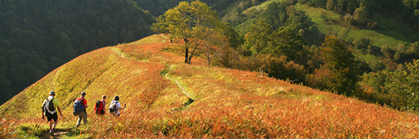 Pays_Basque / DR Olivier Guix