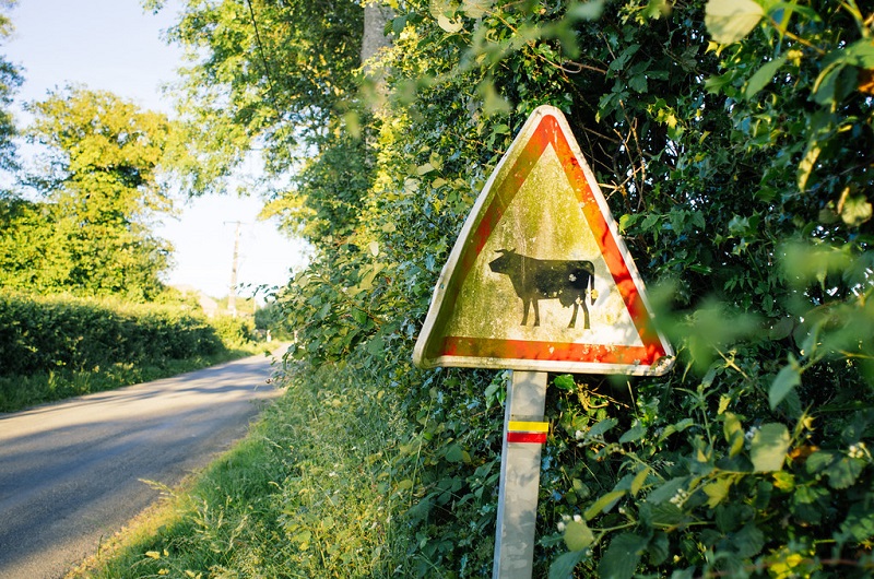 Aveyron : Arvieu, un village d'où personne n’a envie de repartir !