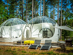 DR V.Vermot des Roches DR V.Vermot des Roches