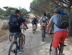 Découverte ludique de Porquerolles  en vélo avec des étapes de sensibilisation à la biodiversité – DR BDC