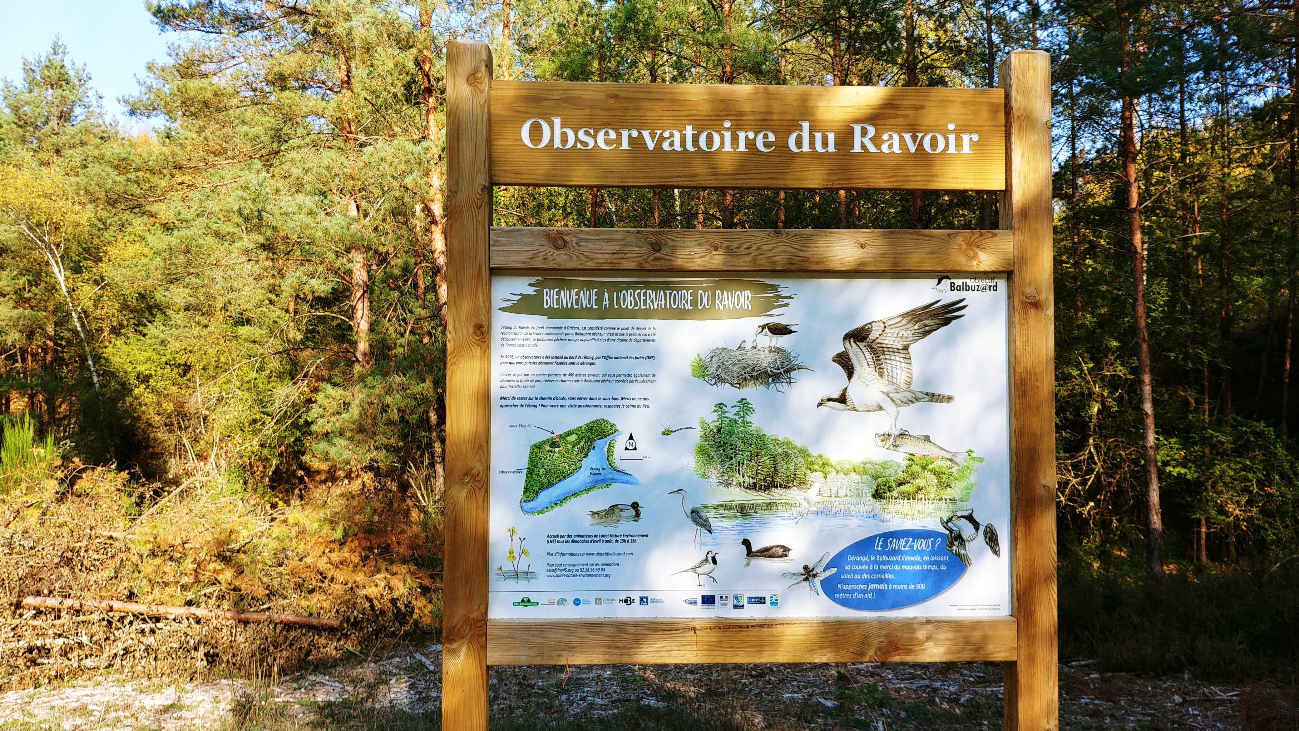 Panneau d'observation à l’observatoire du Ravoir en forêt d'Orléans - DR : S.Sevran, CRT Centre-Val de Loire