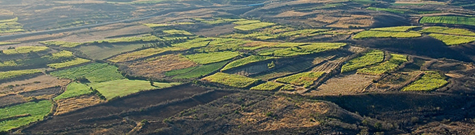 Mille Tours, Réceptif Île de la Réunion