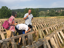 DR Annecy International / Elevage d'escargots