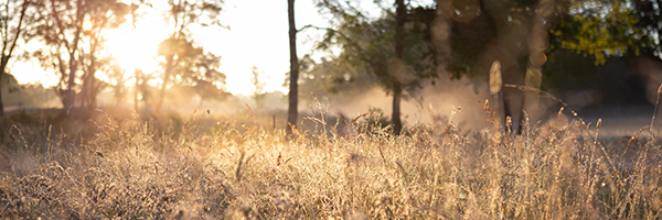 @sarah Arnould @sarah Arnould