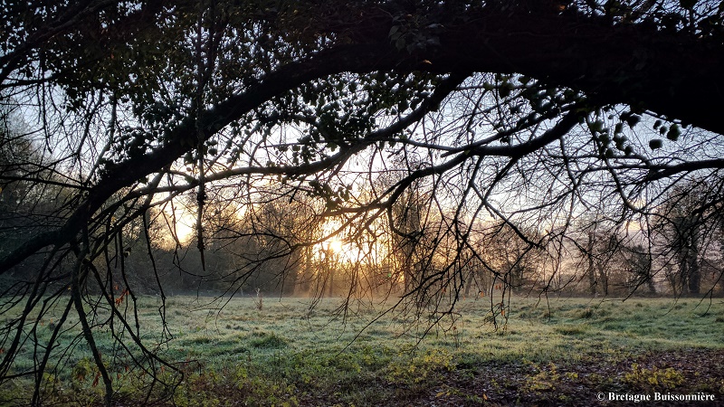 La Bretagne et ses mystères... - DR : Bretagne Buissonnière La Bretagne et ses mystères... - DR : Bretagne Buissonnière