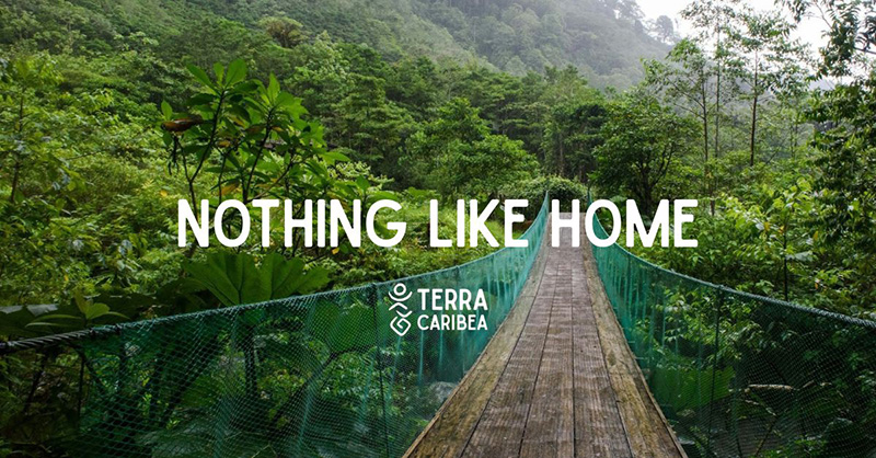 © Unsplash - Pont flottant Costa Rica