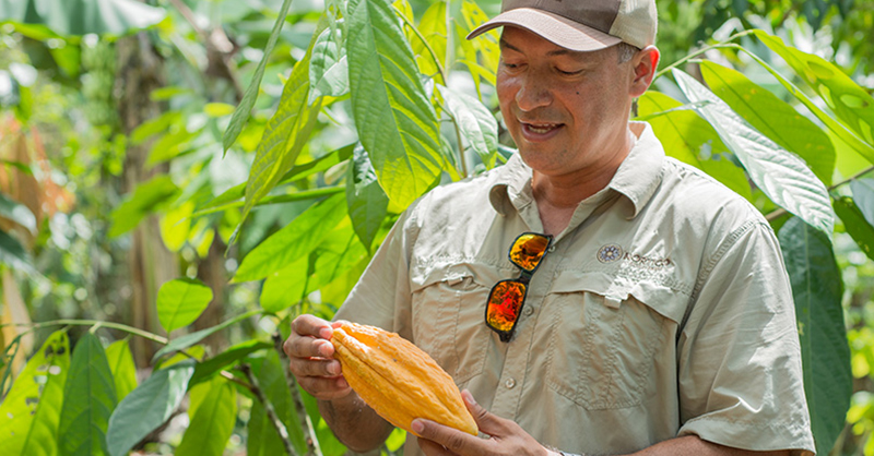 © TERRA Caribea - la culture du cacao au Costa Rica