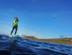 DR Paddle Trophy DR Paddle Trophy