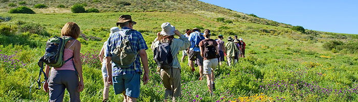 Groupe de randonneurs - © Shutterstock 6189232