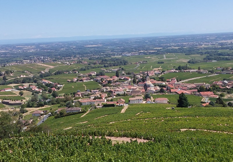 Le Beaujolais est vraiment une région viticole à part entière, avec un charme encore différent - DR : Laurent Pinon