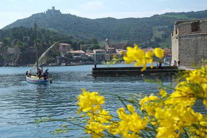 MTM Vacances dispose de 20 ans d’expérience dans l’organisation d’évènements sportifs et touristiques en Nouvelle-Aquitaine et en Occitanie. Ici, le village de Collioure (66)  - DR : MTM Vacances