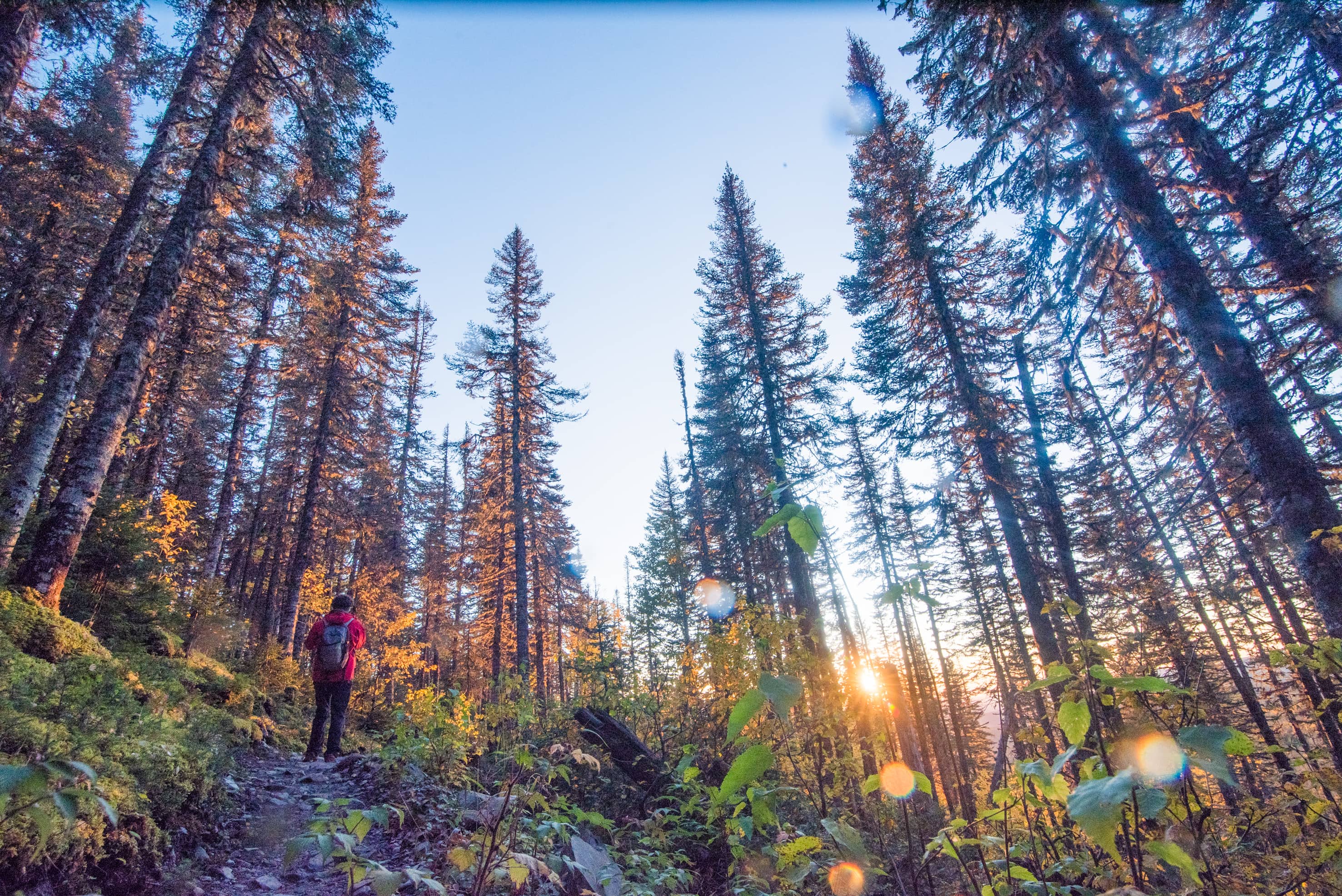 Terra réfléchit à demain…