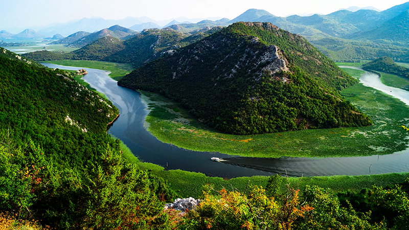 © iStock